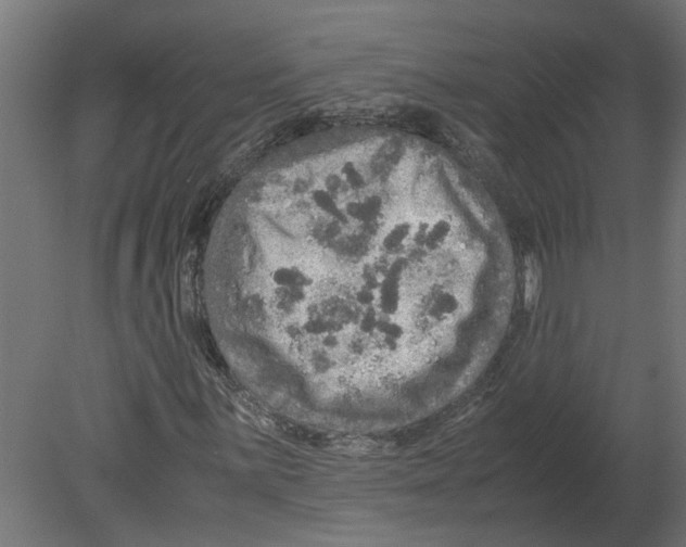 X0000080681059200701121653