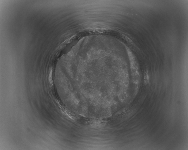 X0000080681060200701121653