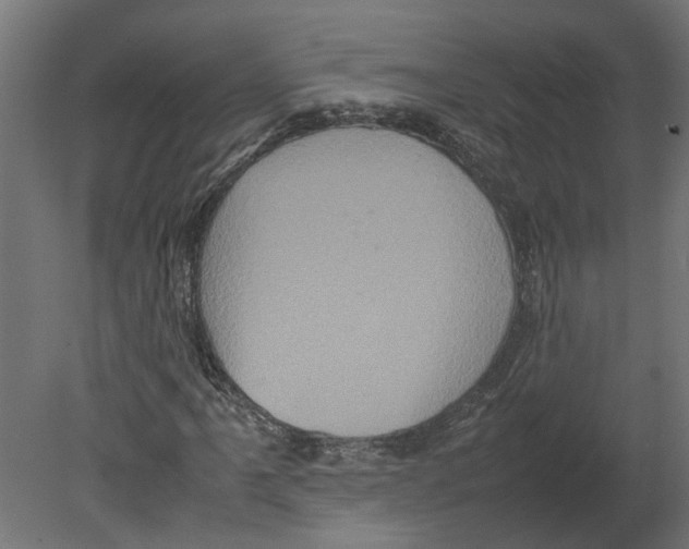 X0000080681061200701121653