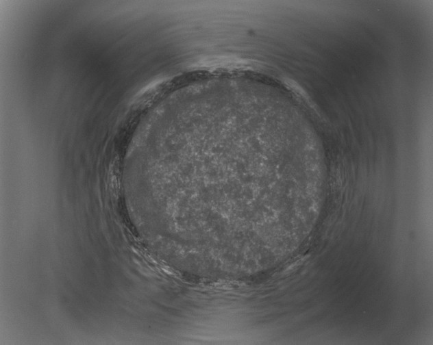 X0000080681063200701121653