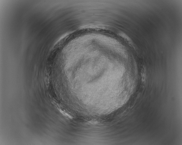 X0000080681064200701121653