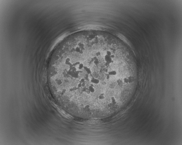 X0000080681067200701121653