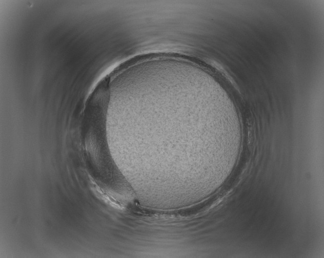 X0000080681069200701121653