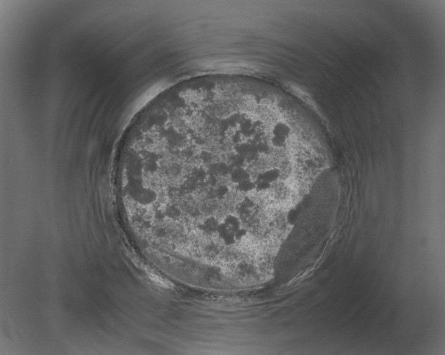 X0000080681071200701121653