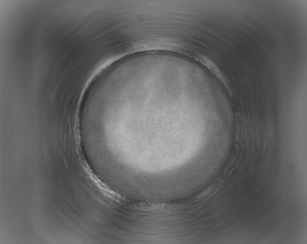 X0000080681072200701121653