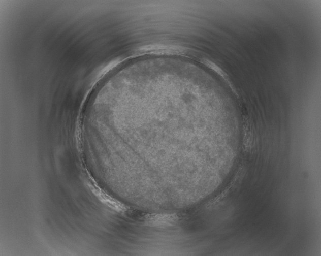 X0000080681074200701121653