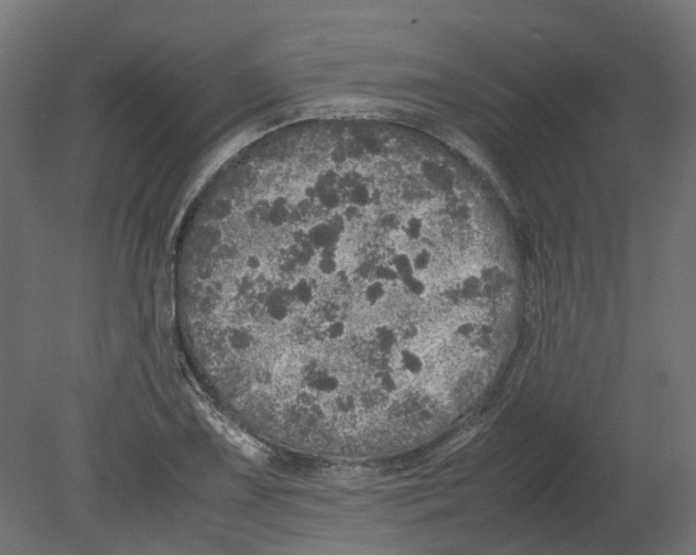 X0000080681075200701121653