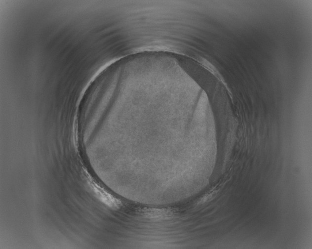 X0000080681076200701121652