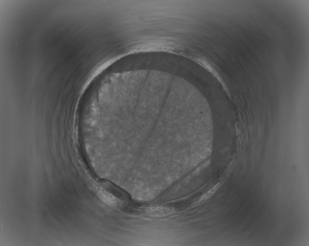 X0000080681077200701121652