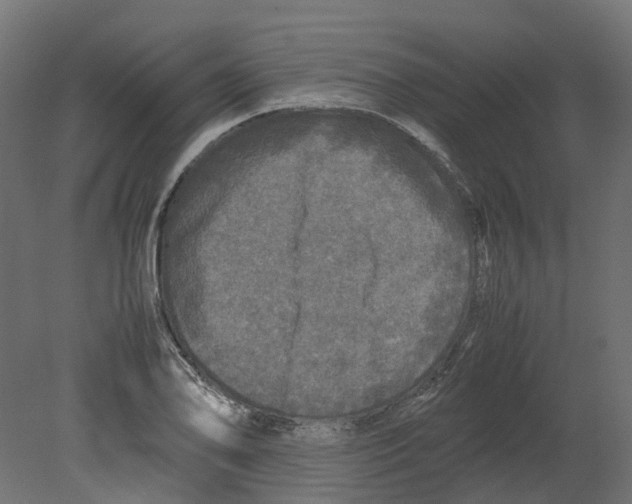 X0000080681078200701121652