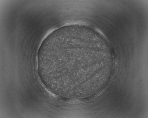 X0000080681079200701121652