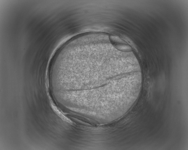 X0000080681080200701121652