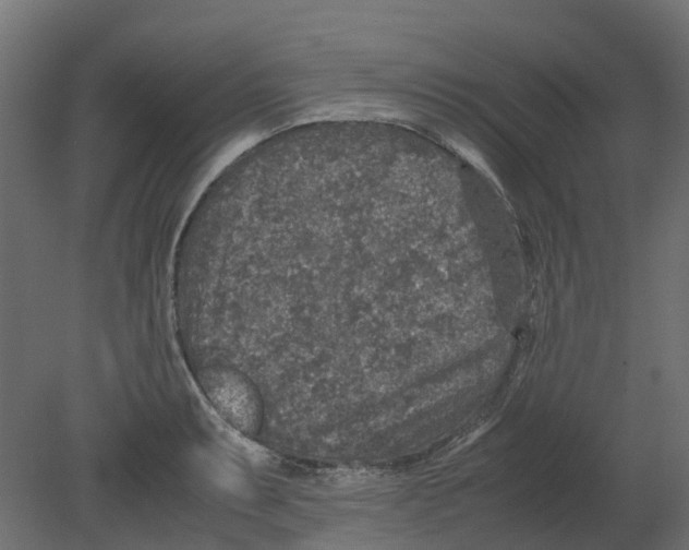 X0000080681087200701121652