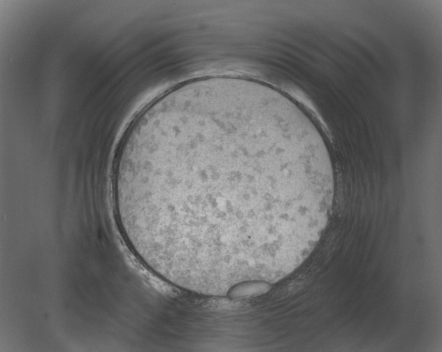 X0000080681088200701121652