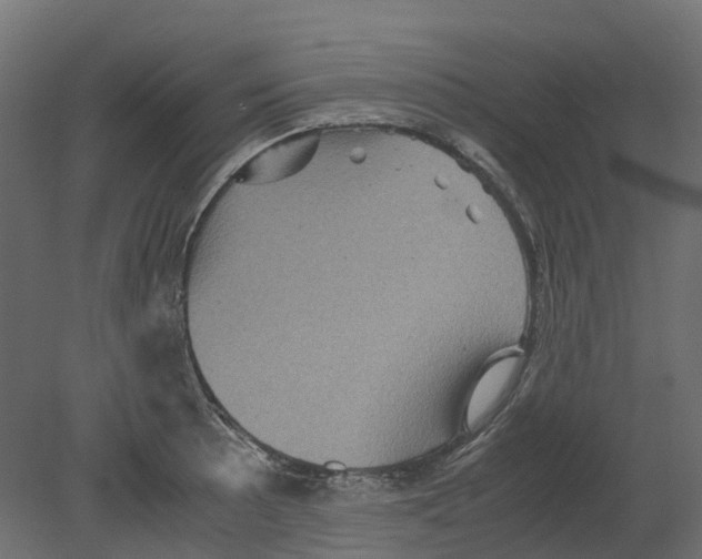 X0000080681089200701121652