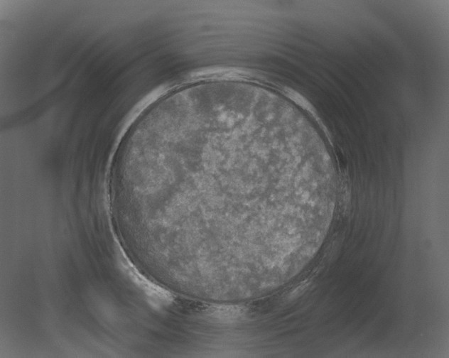 X0000080681090200701121652