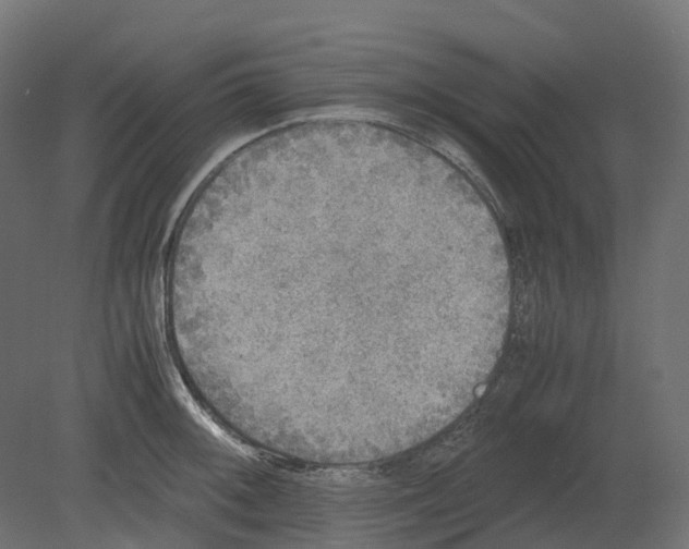 X0000080681092200701121652