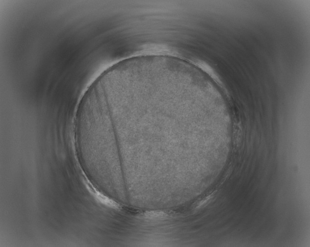 X0000080681094200701121652