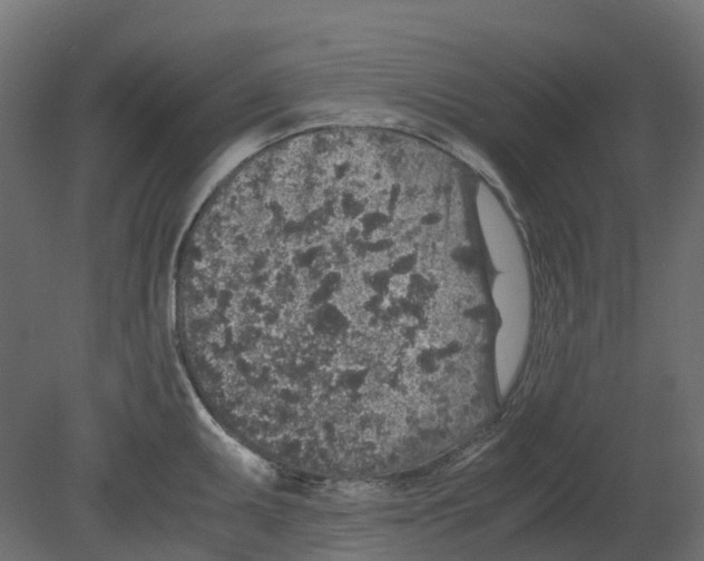 X0000080681095200701121652