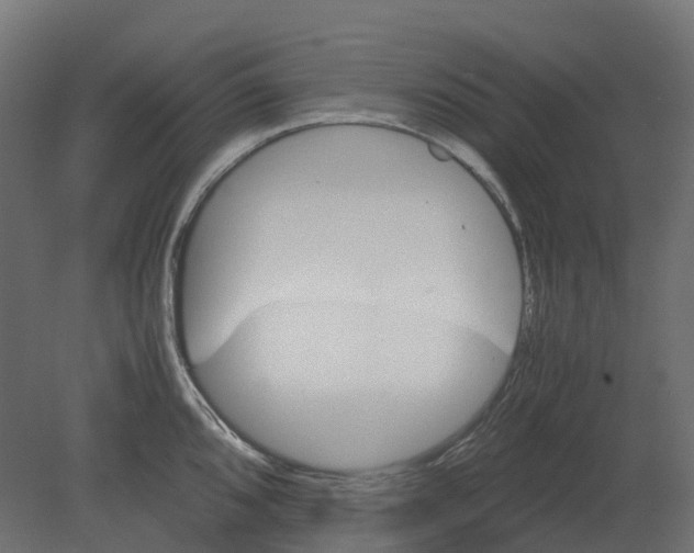 X0000080681096200701121652