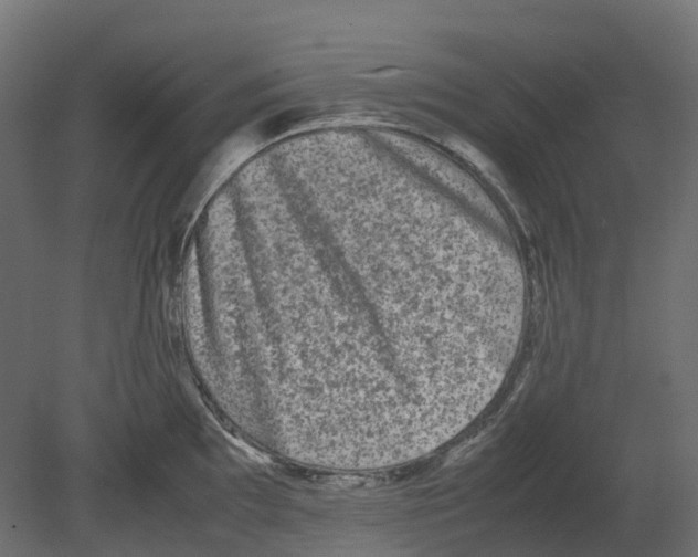 X0000080681097200701121652