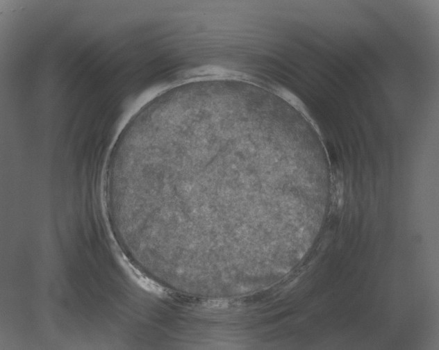 X0000080681098200701121652