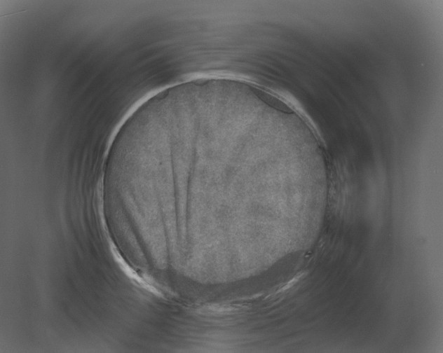 X0000080681100200701121652