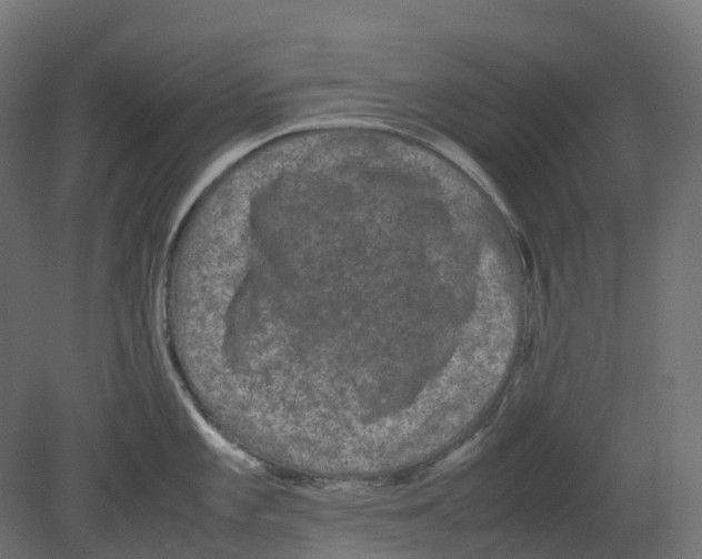 X0000080681101200701121652