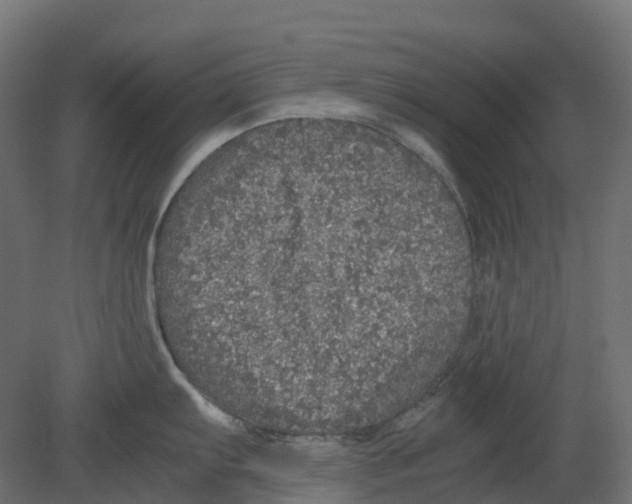 X0000080681103200701121652