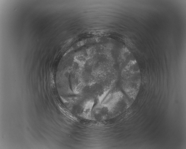 X0000080681106200701121651