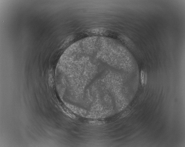 X0000080681107200701121651