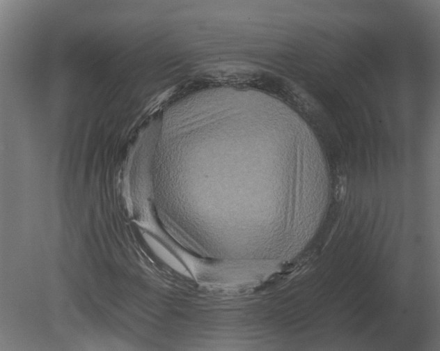 X0000080681108200701121651