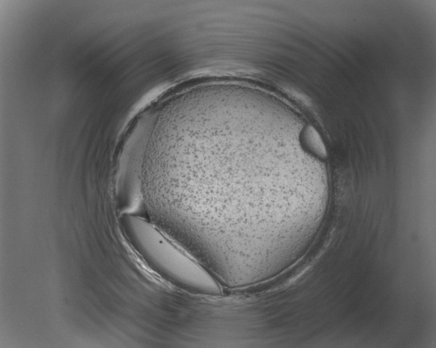 X0000080681114200701121651