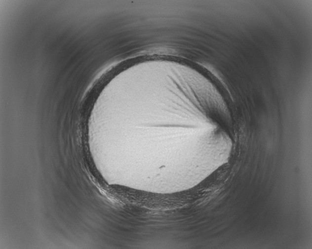 X0000080681115200701121651