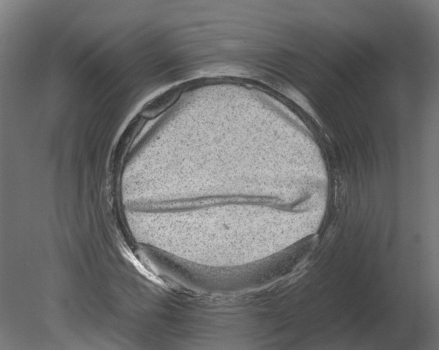 X0000080681116200701121651