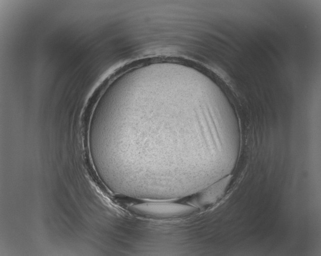 X0000080681118200701121651