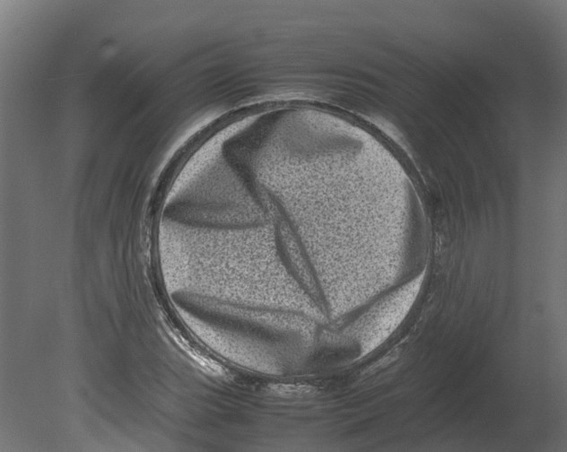 X0000080681119200701121651