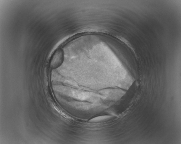 X0000080681120200701121651