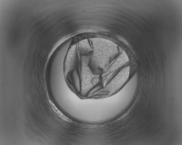 X0000080681122200701121651