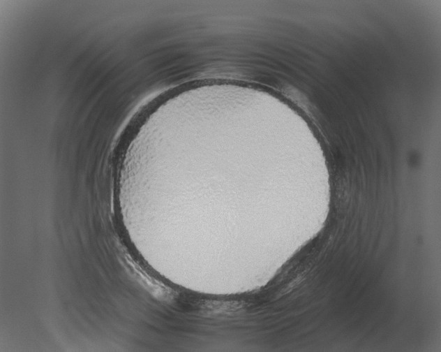 X0000080681123200701121651