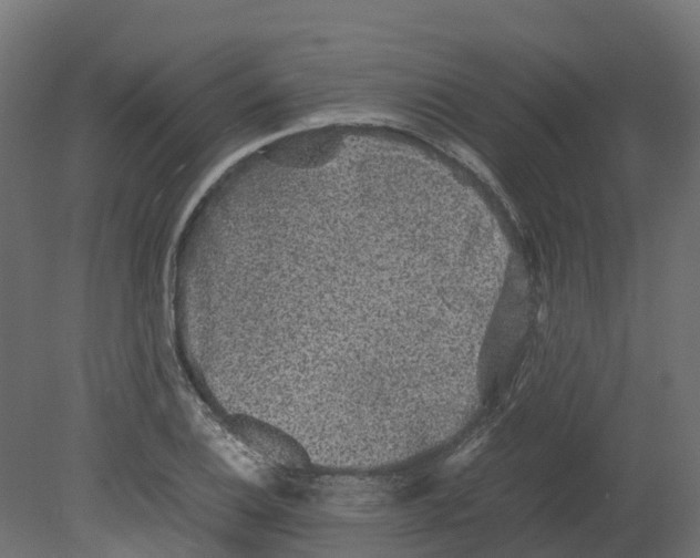 X0000080681124200701121652