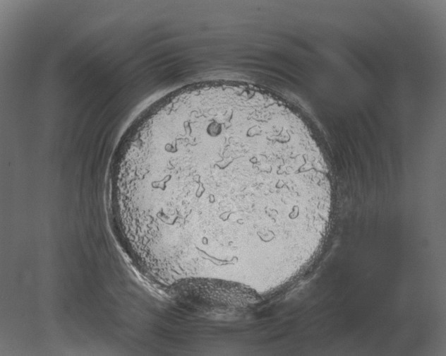 X0000080681125200701121652