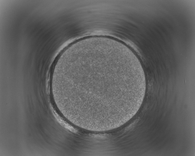 X0000080681126200701121652