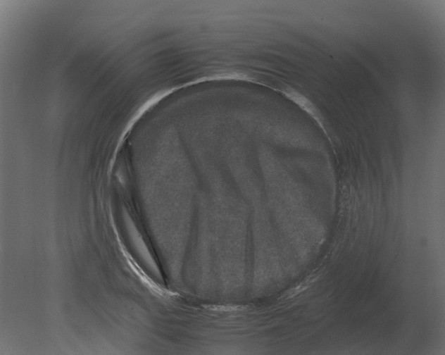 X0000080681127200701121652