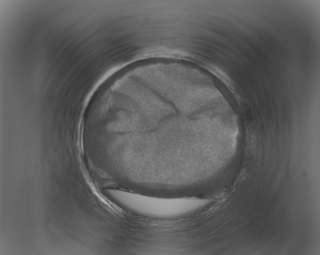 X0000080681128200701121652