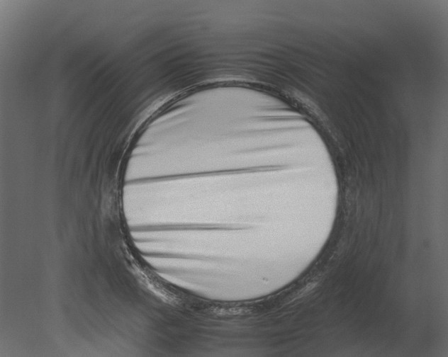 X0000080681129200701121652