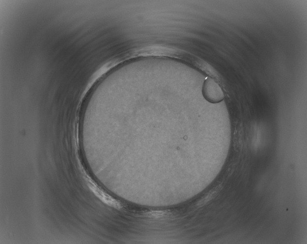 X0000080681130200701121652