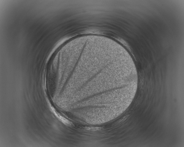 X0000080681131200701121652