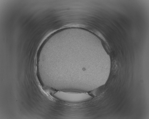 X0000080681132200701121652