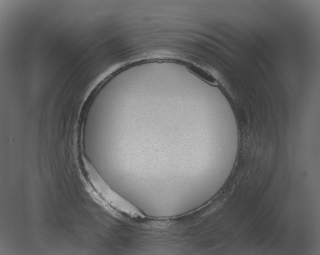 X0000080681134200701121652